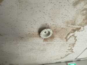 雨漏れによるスプリンクラーヘッドの腐食状況（岐阜市 スプリネックス点検）