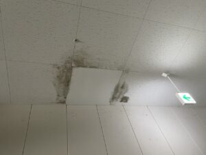 愛知県で消防設備の漏水調査に対応する株式会社大井ぐるーぷ