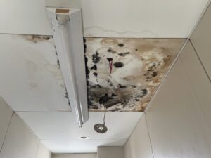 雨漏れ被害を受けた施設の消防設備改修工事