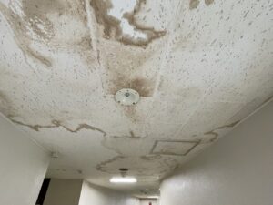 屋上雨漏れ被害から復旧した施設の天井内部