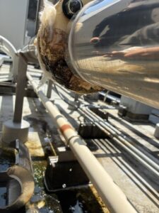 ボイラー給湯配管の錆による腐食状態を確認した写真