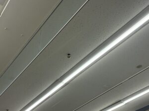 地震後に天井材が脱落したスプリンクラーヘッド周辺