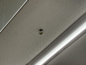 商業施設の天井から露出したスプリンクラーヘッドとフレキ配管