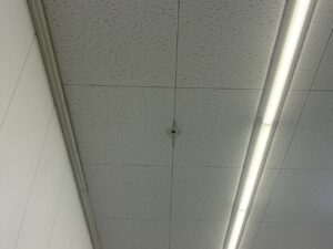 小牧市で行ったスプリンクラー漏水の現地調査