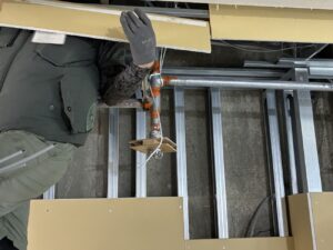 リフォーム後の室内区画に合わせて増設した消防用スプリンクラー設備